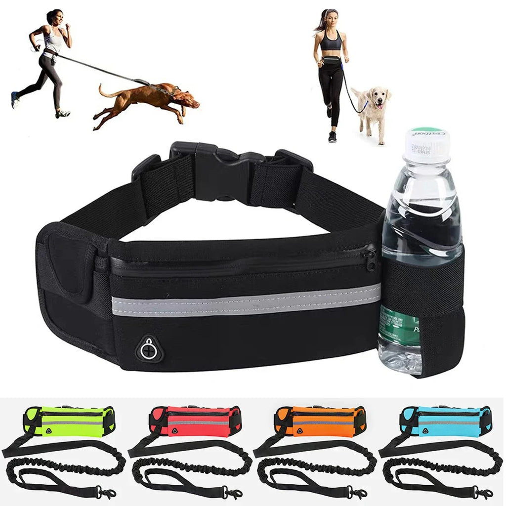 Black hands-free dog leash waist pack with reflective strip, bottle holster and bungee leash in five colors