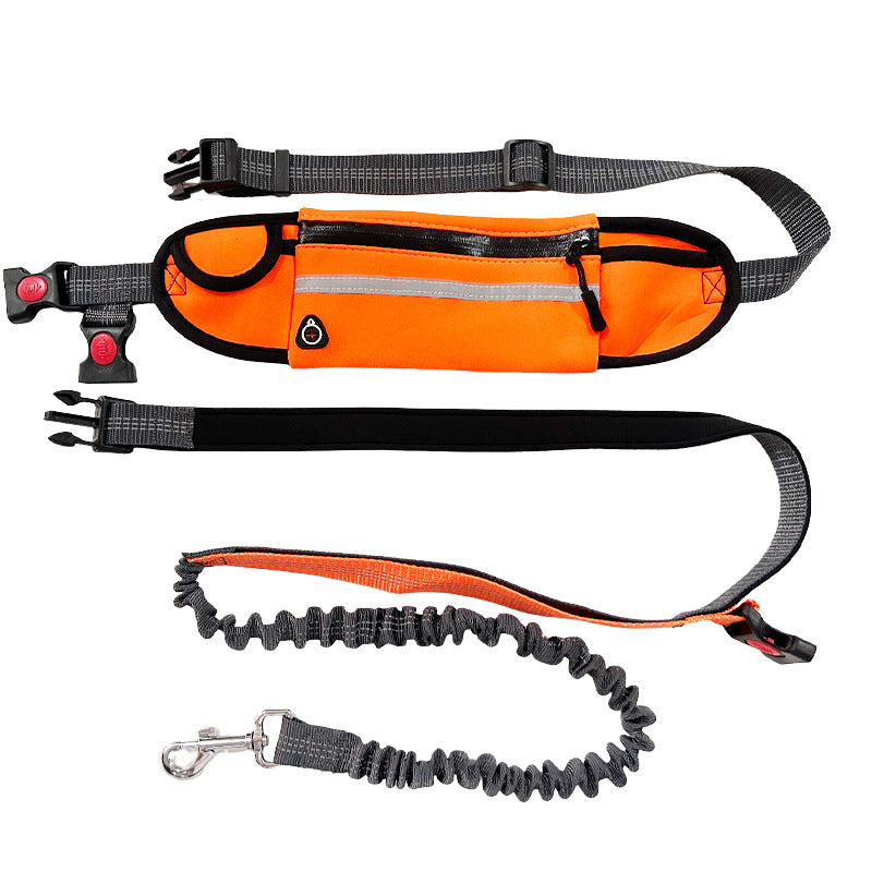Hands-Free Dog Leash with Waist Pouch – Bungee Walking & Running Leash